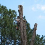 workers compensation dangerous jobs